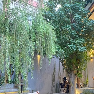 blueberiew's profile picture. 