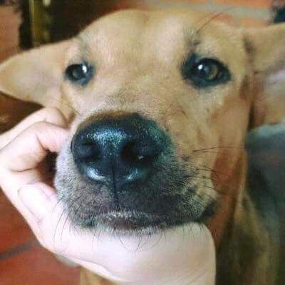 TeoTom73036's profile picture. 