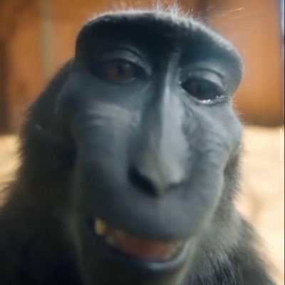 duckf042's profile picture. 