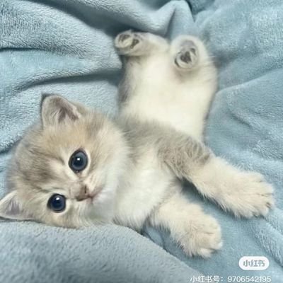 osbornnjxft1's profile picture. Leading in crypto and blockchain innovation, I merge tech insight with market analysis to unlock opportunities and drive integration  #meme