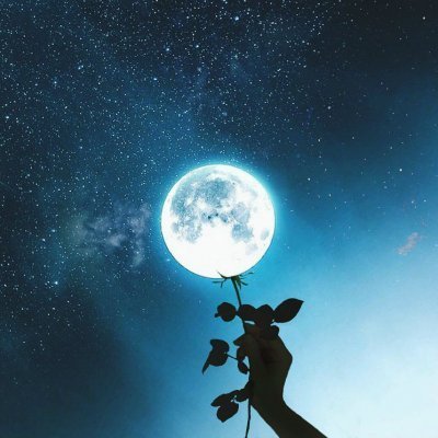 weezyfan325's profile picture. 