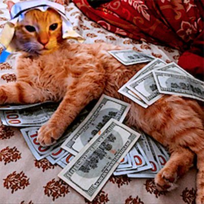 Love to ape in random memecoins. Trading sidejob.
Game Devs, Technical Artist.
Experienced with Unity, WebGL, AR/VR/XR.