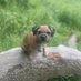 MissNancyBt🐾 (@missnancybt) Twitter profile photo MissNancyBt🐾 (@missnancybt) Twitter profile photo