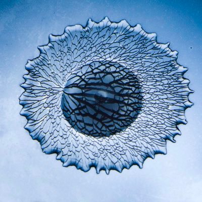 Physicien. Chargé de recherche @CNRS au @PMMH_lab.