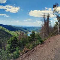 Thomas (@thommi867) 's Twitter Profile Photo