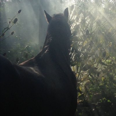 I0I0I0I010's profile picture. ❦