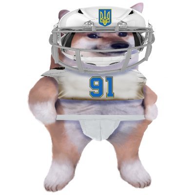 r1ggs's profile picture. Baller 🏈 and hard hittin’ bonker. FCKPTN, FUCK TRUMP, FUCK ELON
💥Swiss Weapons To Ukraine - Slava Ukraini💥
Bsky: https://t.co/nJCYCRQ9eM
