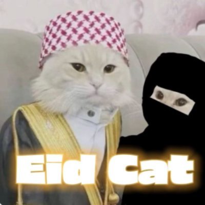 EidCatSolana's profile picture. Pre-Order Closing soon! $EidCat