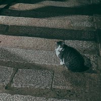 そら◂Ⓘ▸ (@am2_07) 's Twitter Profile