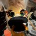 Alex (@gghosttttownn) Twitter profile photo Alex (@gghosttttownn) Twitter profile photo