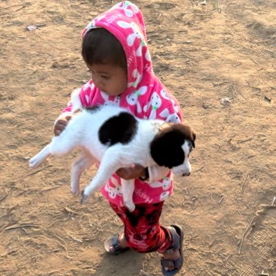 EXECUTIVE Engineer in NTPC_Telangana भारत सरकार #NITIAN #ECE #Humanity