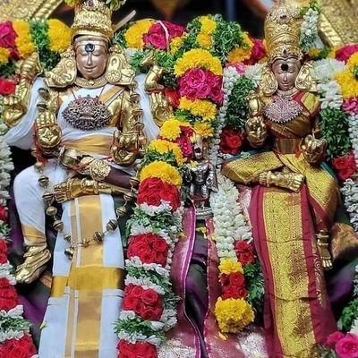 SriV7151's profile picture. Techie from Bangalore