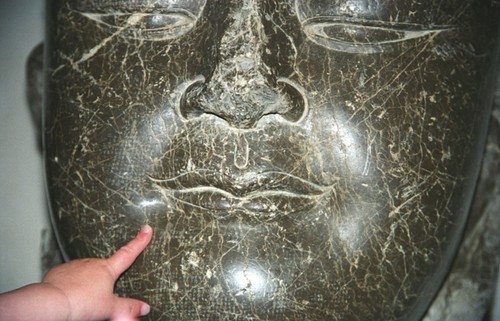 davidhayden's profile picture. 