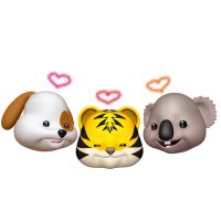 ๐ต๐ฎ๐ท (@mochimochi00___) 's Twitter Profile