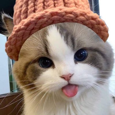 PKanjanapr888's profile picture. 