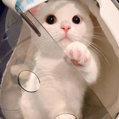 A2475599724's profile picture. 广州190反差男娘诶 过🚪 接线下 定制任务视频 Q：3567790391