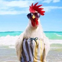 G (@myviewsmyown) 's Twitter Profile Photo