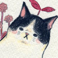かわさきみな@minaccio (@mina_kwski) 's Twitter Profile