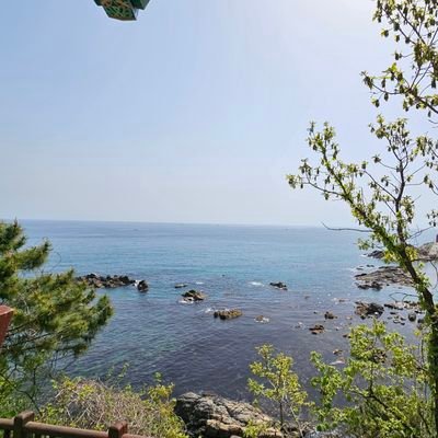 umungyeong75381's profile picture. 