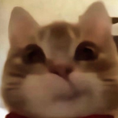 poufes's profile picture. 