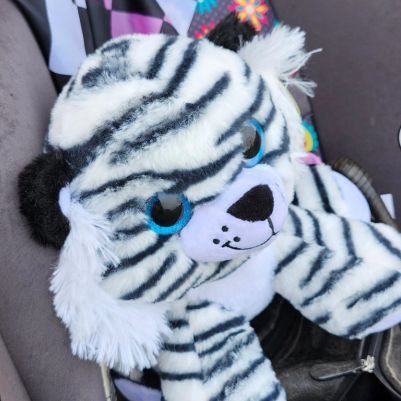 Ally_Freak's profile picture. Mother, self-improver (or I strive to be). Epileptic lover of books. 🩷 A.L & H.C 🩷 A.C + M.P = 🩷 Jesus Christ is Lord. Seek him now before it's too late ❣️