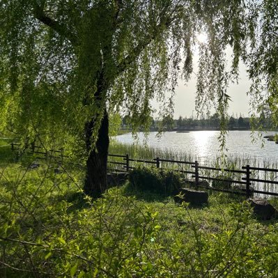 stand964's profile picture. 세상에는 재밌는게 정말 많아