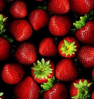 Fit_Now's profile picture. If you're looking to lose weight, get in shape, or build lean #muscle mass, check out the short videos on my site!