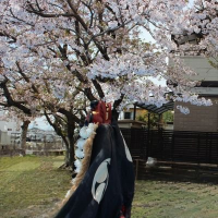 コバ (@ganmo4281) 's Twitter Profile