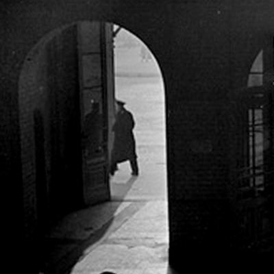 BLLFSP's profile picture. 