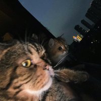 泽泽泽m (@zzz072m) 's Twitter Profile