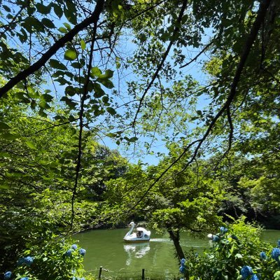 斉藤和義さんが好きです。岡村和義、最高!マニッシュボーイズ、カーリングシトーンズ、TRIO DE PON、他のメンバーとの楽しそうなやりとりを見るのが好きです(о´∀`о)