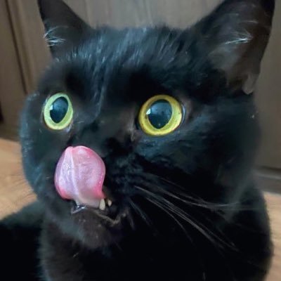 MorizaneYu53736's profile picture. 