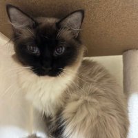 2chお気に入り倉庫ブログ (@2chsoukoblog19) 's Twitter Profile Photo