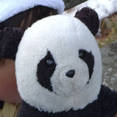 あの町じゃない伊達郡出身のふくしまFMリスナー プスナー🚲🐼
秦さんの曲聴くようになって17年のアラサー
同じくFMリスナーでハターさんな令和生まれ兄弟の母🐧🐯
🐼さんとは別者の新参むろびと🐨