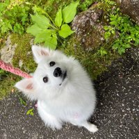 タモさん (@_y5592) 's Twitter Profile