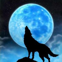 stR (@gvafqvdywk54585) Twitter profile photo