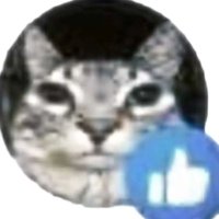 vida (@oomfmoder) 's Twitter Profile