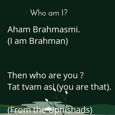 ModyThomas's profile picture. Loves fractals, football, gardening, stock markets and technology.