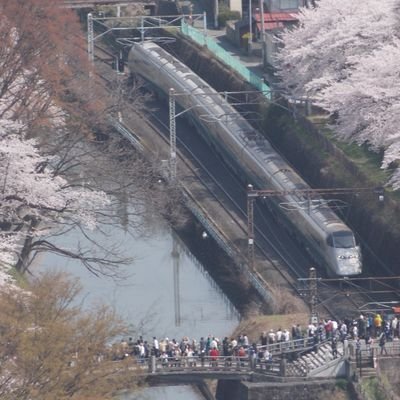 yuuさんのプロフィール画像