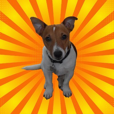TangoJRT's profile picture. Man's best friend on Fantom and Base.
Powered by @Equalizer0x and @ScaleOnBase