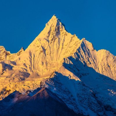 MinghuiGu's profile picture. 