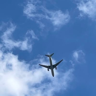 ma_komori's profile picture. 元大学教員 今はまたマンガ家 ポスト率とても低いです