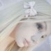 La Eli🩰𝜗ৎ (@depresivvebunny) Twitter profile photo La Eli🩰𝜗ৎ (@depresivvebunny) Twitter profile photo