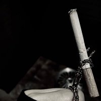 くるり (@katsuya_axl) 's Twitter Profile Photo