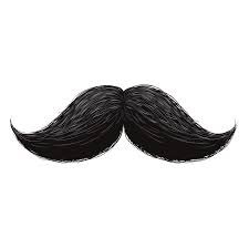 gheyreaghazadeh's profile picture. 