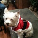 Gene Howard 3 - @howardgene3 - Twitter