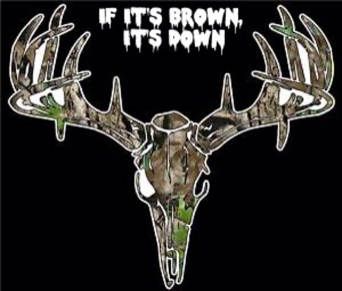 ifitsbrwnitsdwn's profile picture. Just your everyday deer hunter lookin for fun! Relatable quotes for all you hunters out there. Follow me and I'll follow back! (: