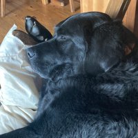 Michael 11B (@wncmtngeo) 's Twitter Profile