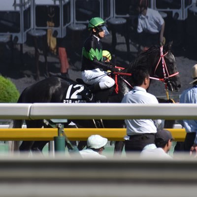 ウマや馬の話が多い雑多垢 ＤＭＭにて一口もやっています