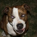 dalton lott - @daltonkee - Twitter